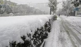 石家庄爆料下雪事件最新,城市交通受阻，市民生活受影响